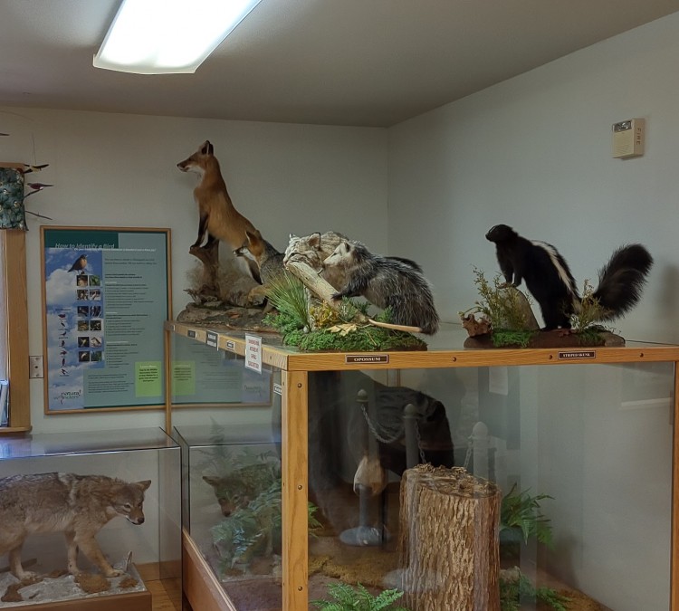 Promised Land C.C.C.& Wildlife Museum (Greentown,&nbspPA)